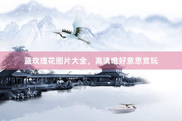 蓝玫瑰花图片大全，高清唯好意思赏玩
