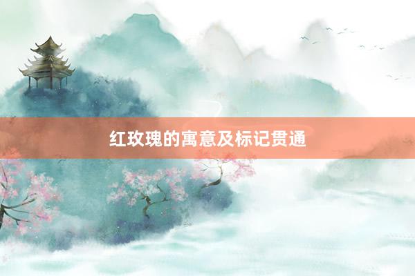 红玫瑰的寓意及标记贯通