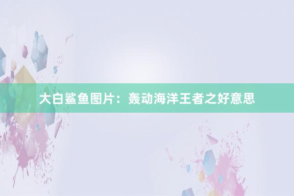大白鲨鱼图片：轰动海洋王者之好意思