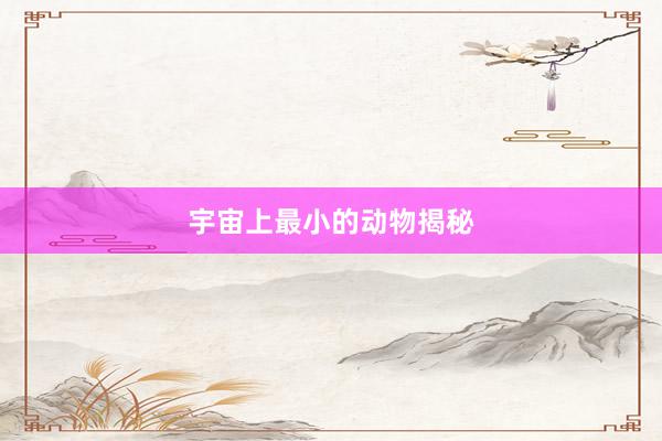 宇宙上最小的动物揭秘