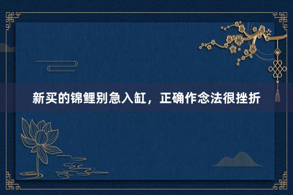 新买的锦鲤别急入缸，正确作念法很挫折